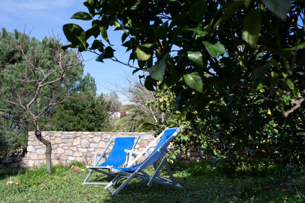 Villetta Il Gelsomino Marciana Marina  Exterior photo